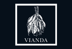 Vianda