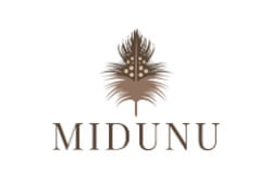 Midunu (Ghana)