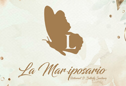 La Mariposario Restaurant and Butterflies Sanctuary (Peru)