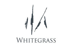 Whitegrass