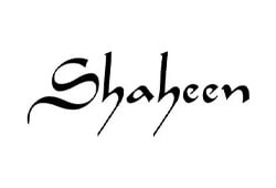 Shaheen Restaurant (Ethiopia)