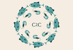 C2C @ Taj Cidade de Goa Horizon, Goa