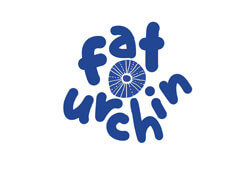 Fat Urchin (Antigua and Barbuda)